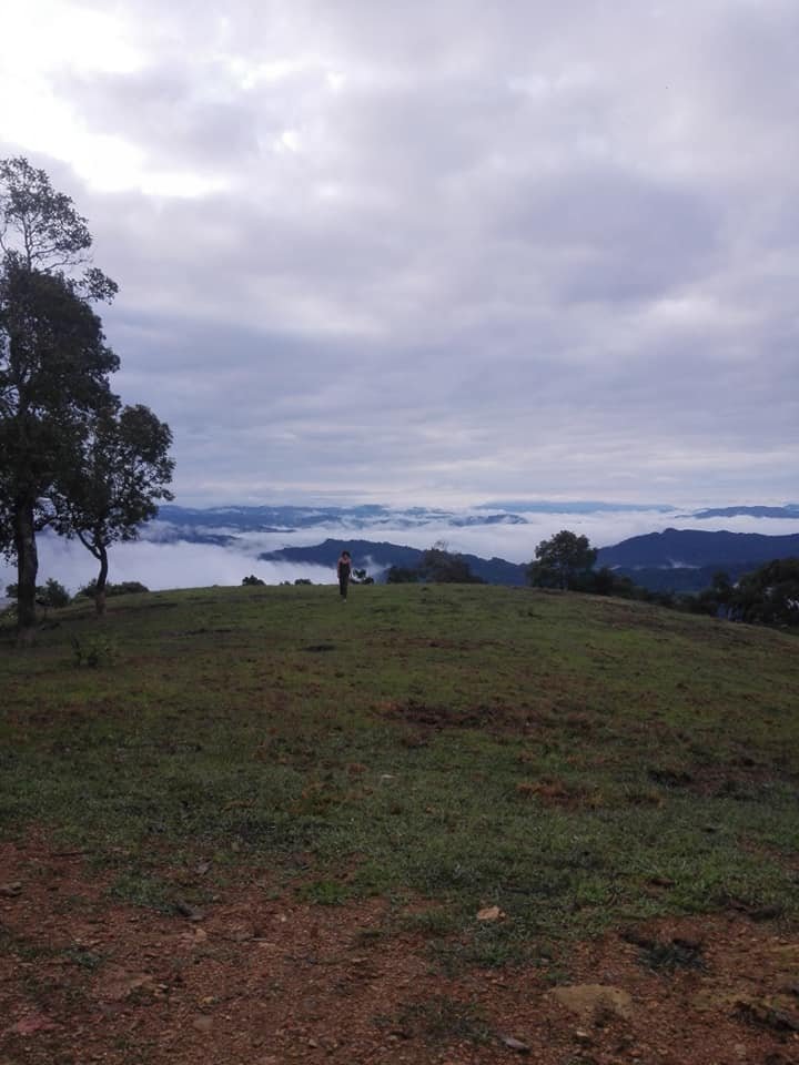 2 Days The Nests and Wildlife Observation Tower